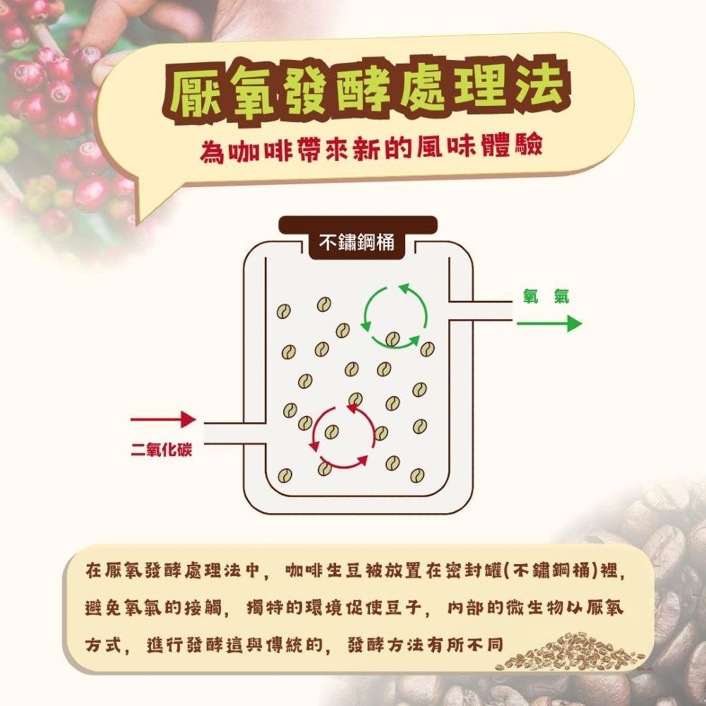 咖啡探秘：探索厭氧發酵的獨特風味